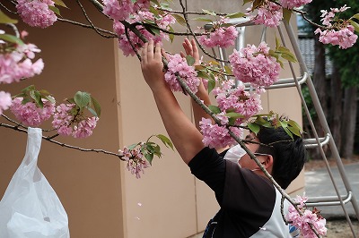 花とり